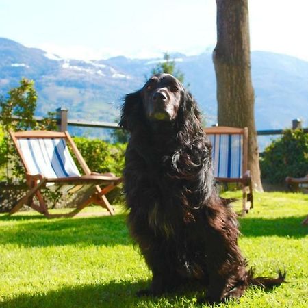 Bed&Breakfast Chez Berry Aosta Exterior foto