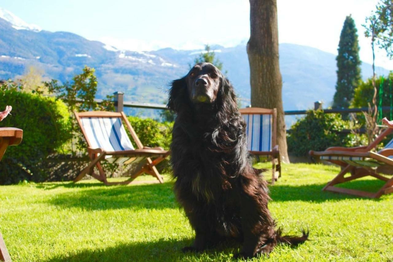 Bed&Breakfast Chez Berry Aosta Exterior foto